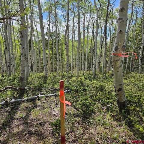 261 Crest Drive, Cimarron, CO 81220