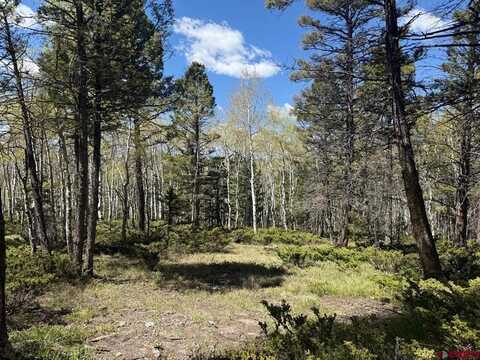 261 Crest Drive, Cimarron, CO 81220