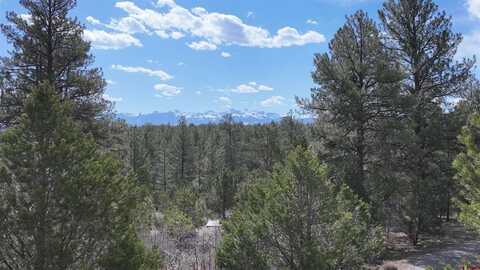 141 Big Canyon Point, Ridgway, CO 81432
