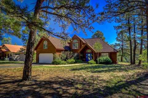 310 Twincreek Circle, Pagosa Springs, CO 81147
