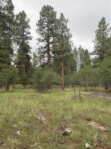 Lot 430 S Badger Trail, Ridgway, CO 81432