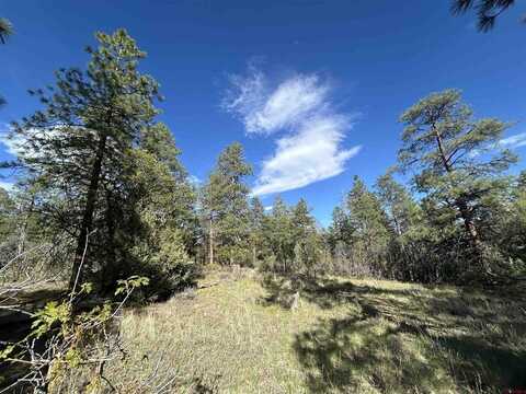 1333 Doc Adams Road, Pagosa Springs, CO 81147