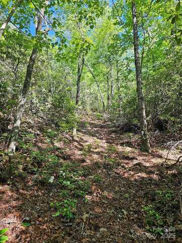 101 Arbor View Drive, Marion, NC 28752