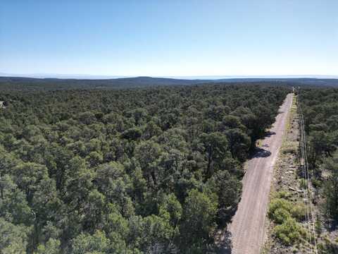 Tract 4 Gonzales, Edgewood, NM 87015