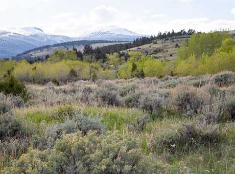 Lot 4 Wey's View, McAllister, MT 59740