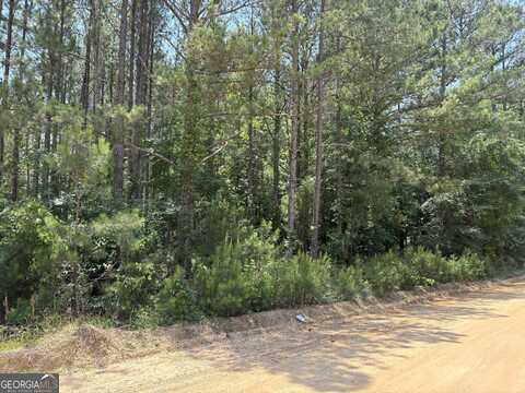 0 Floyd Turner, Sandersville, GA 31082