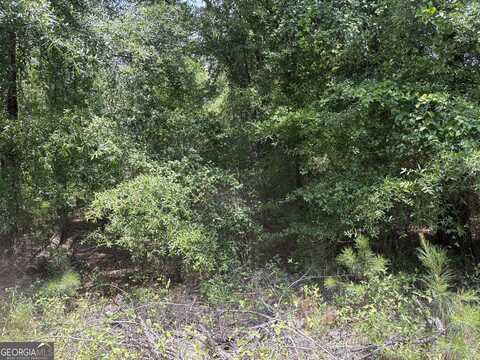 1 Floyd Turner, Sandersville, GA 31082