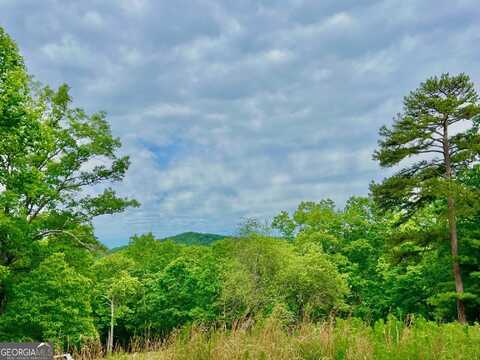 788 Beavers, Morganton, GA 30560