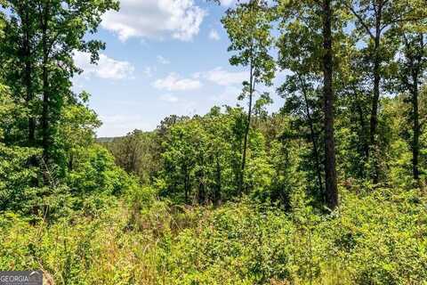 Lt160 Shallow Water, Talking Rock, GA 30175
