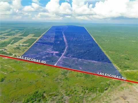 0 Las Escobas Road, Roma, TX 78584