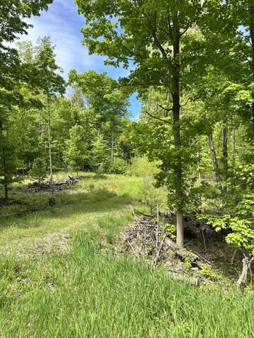 4333 E Town Line Road, Fountain, MI 49410