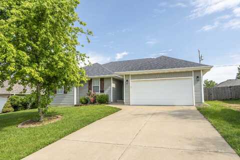 317 Cinnamon Court, Sparta, MO 65753