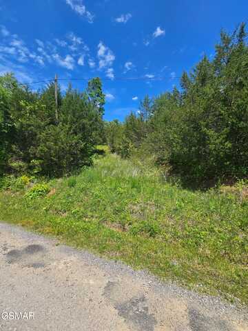 3.35 Oakwood Road, Midway, TN 37809
