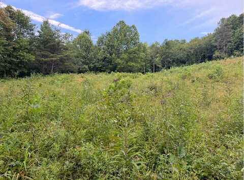 Dillon Hollow, Scottown, OH 45678