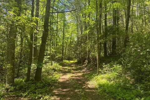 Tbd S Hwy 107, Cashiers, NC 28717