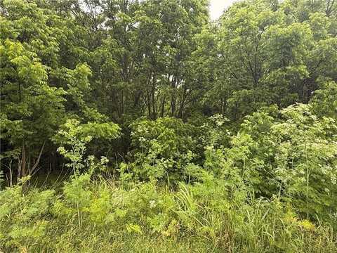 Lot 9 Vining Drive, Climax Springs, MO 35324