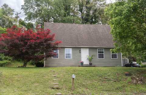 256 E 28TH ST, BUENA VISTA, VA 24416