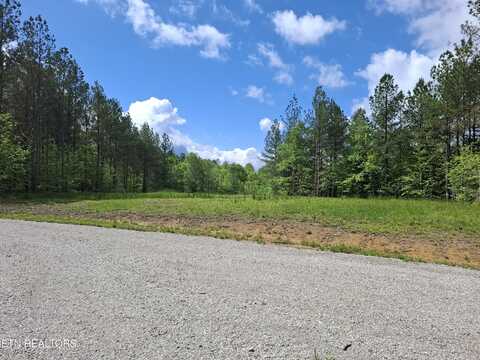 Lot 38 Stonecipher Court, Sunbright, TN 37872