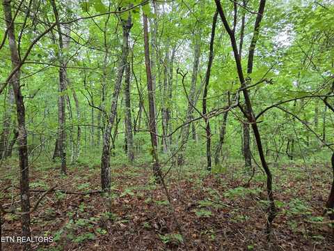 45 Brenningham Lane, Crossville, TN 38558