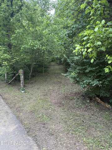 Noslen Rd, Knoxville, TN 37924