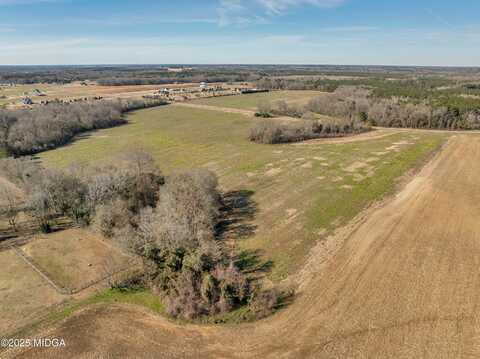 0 Williams Circle Circle, Elko, GA 31025