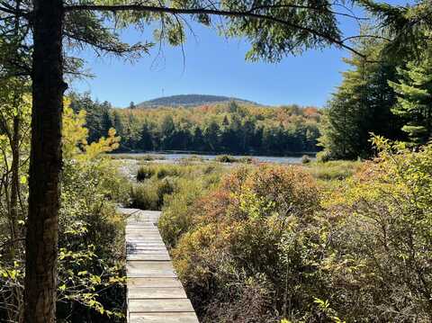 Pine Hill Lane, Blue Hill, ME 04614