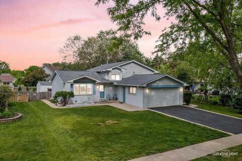 317 Vista Drive, Bolingbrook, IL 60490