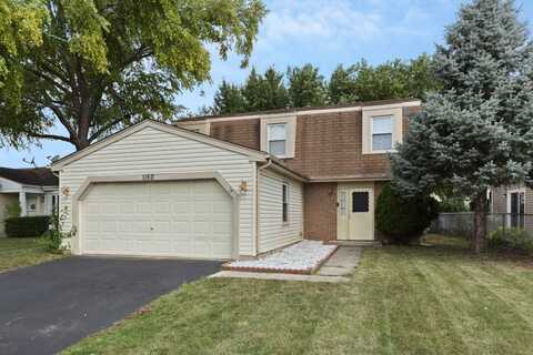 1150 SINGLETON Drive, Roselle, IL 60172
