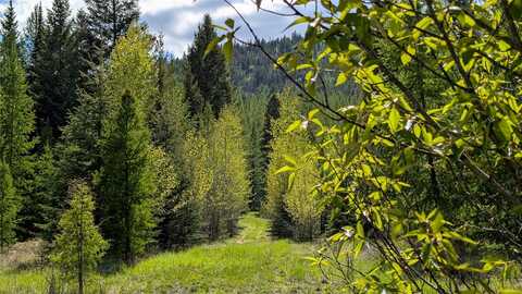 161 Bernard Creek Road, Kila, MT 59920