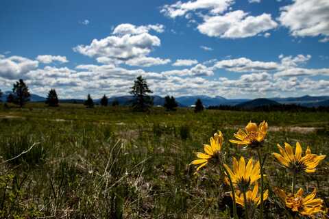 NHN Big Horn Lane, Monarch, MT 59463