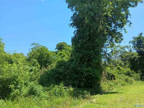 110 Morgan Street, Gadsden, AL 35904