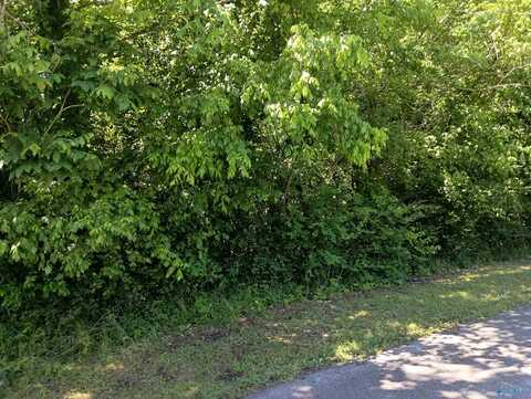 1525 Meadowbrook Avenue, Gadsden, AL 35903