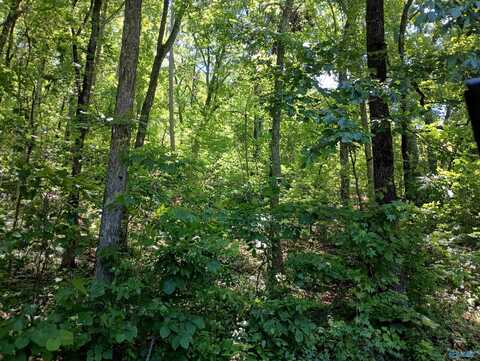 2700 Duncan Avenue, Gadsden, AL 35901