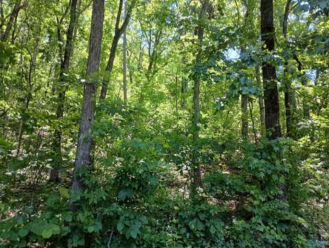 386 Creekview Drive, Rainbow City, AL 35906