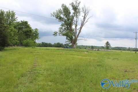 600 County Road 550, Grove Oak, AL 35975