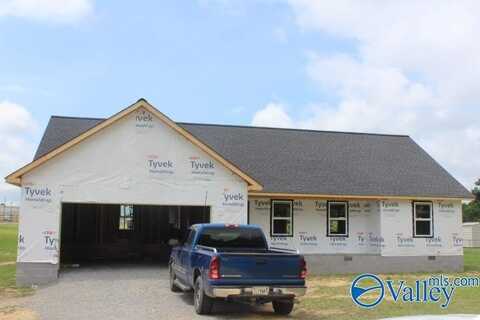 37 Mitchell Drive, Rainsville, AL 35986