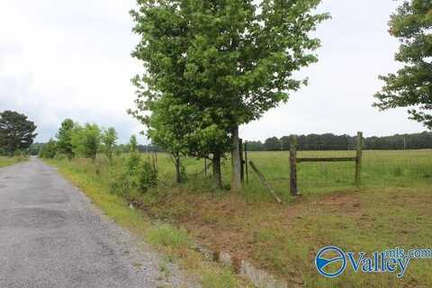 4000 County Road 400, Grove Oak, AL 35975