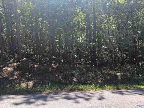 5631 River Oak Drive, Southside, AL 35907