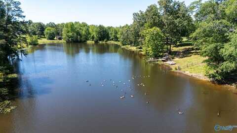 7301 County Road 214, Trinity, AL 35673