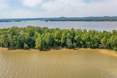 Ff Moneys Bend Road, Cedar Bluff, AL 35960