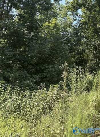 2.66 Acres Blackburn Road, Athens, AL 35611