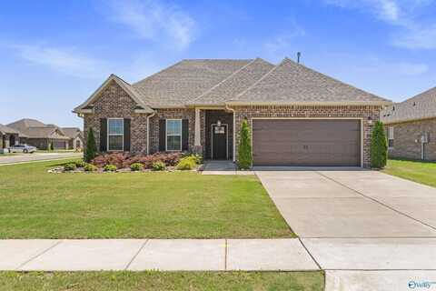 100 Tanner Drake Court, New Market, AL 35761