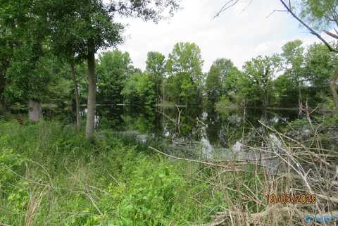 18.56 Hambrick Drive, Boaz, AL 35957