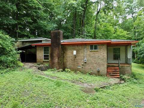 24792 Chapman Hollow Road, Elkmont, AL 35620