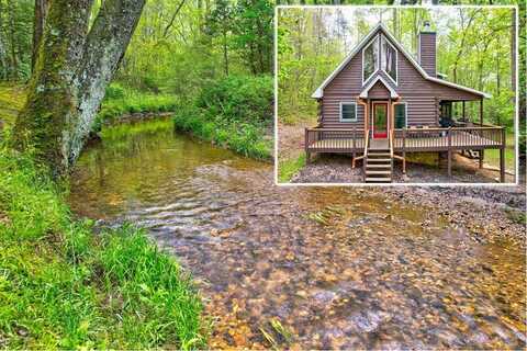 38 Forest Lane, Blue Ridge, GA 30513