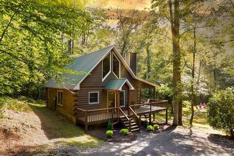 38 Forest Lane, Blue Ridge, GA 30513