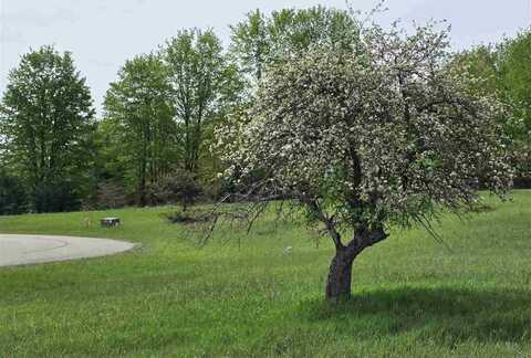 34 Wasatch, Boyne Falls, MI 49713