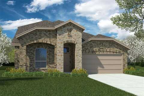 113 MEDINA Lane, Rhome, TX 76078