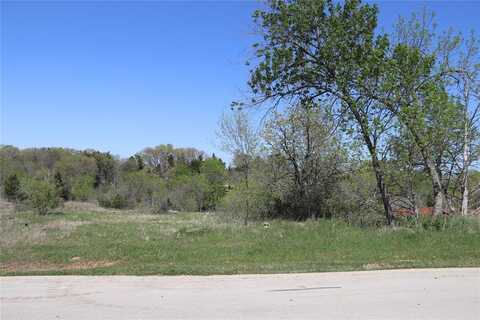 357 Palmilla Drive, Gordonville, TX 76245