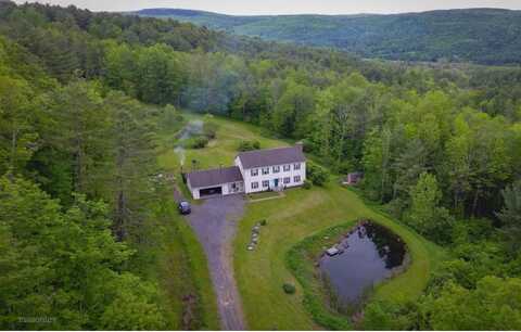 1457 North Road, North Blenheim, NY 12131